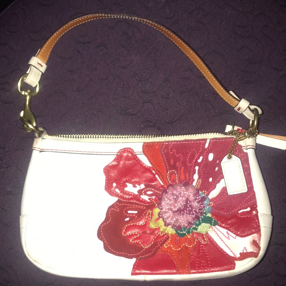 Adorable Coach clutch